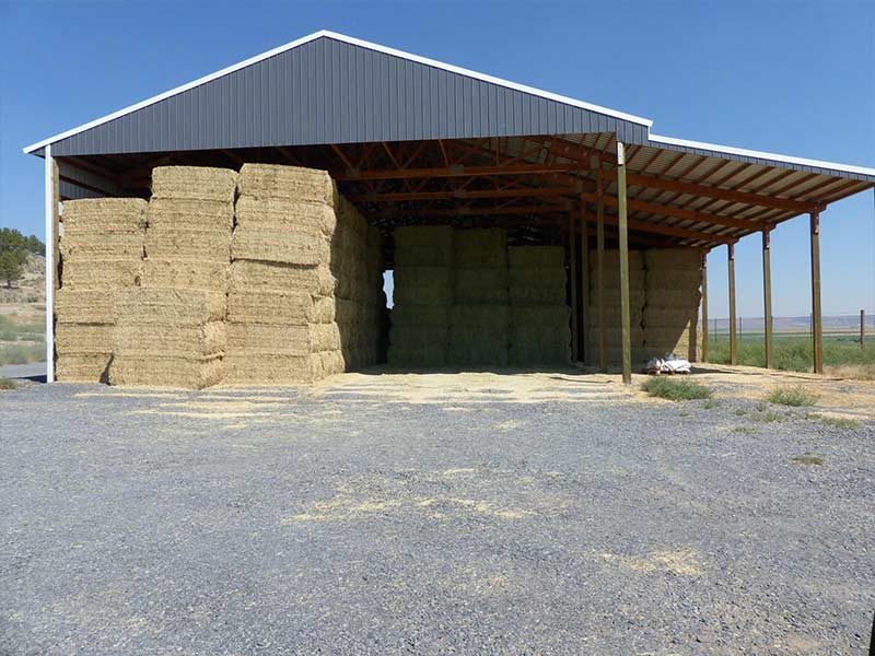 Open-sided pole barn filled with stacked square hay bales
